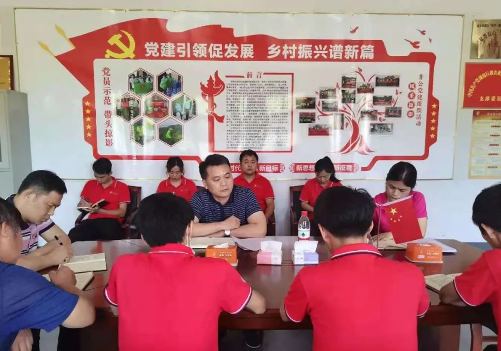 做实党建工作 服务非公企业发展