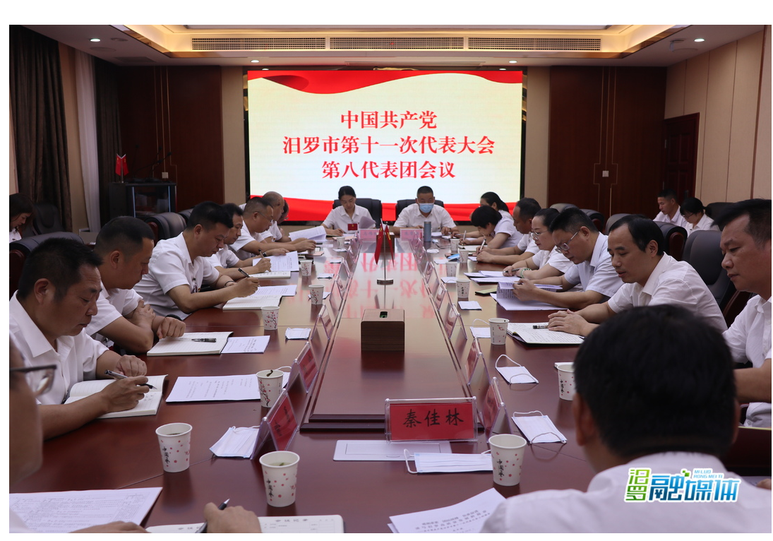 凝心聚力共谱新篇 各代表团分团讨论“两个工作报告”