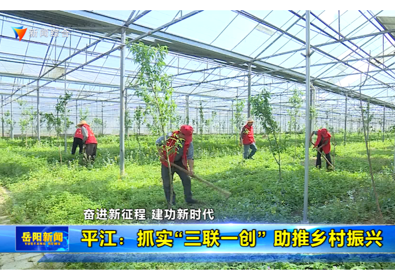 【奋进新征程 建功新时代】平江：抓实“三联一创” 助推乡村振兴