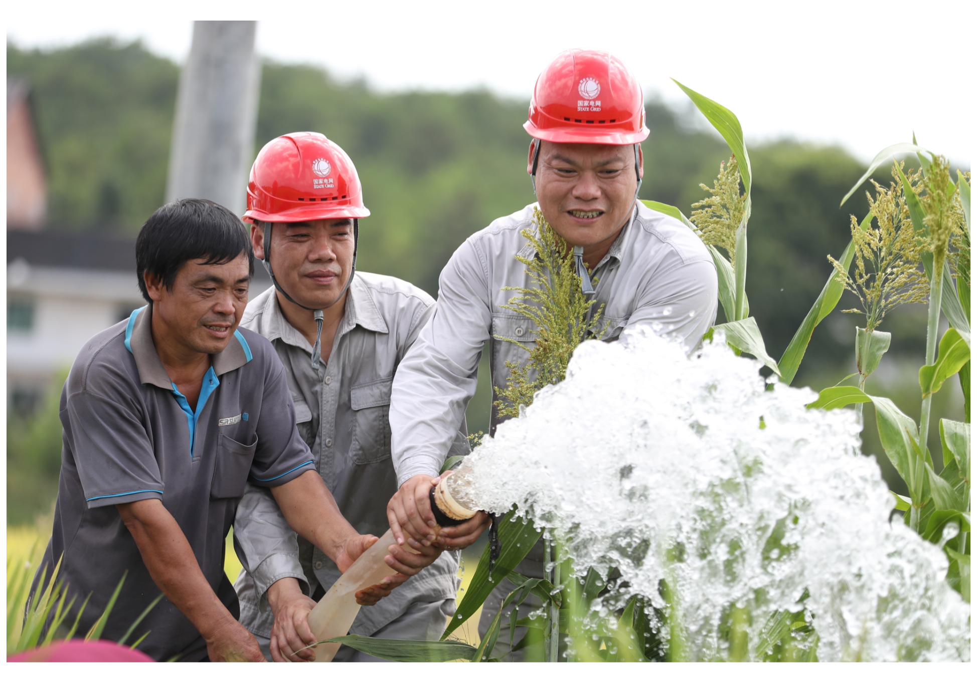 湖南：抗旱保电，农田“解渴”