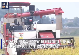 【央視新聞】湖南：獨輪運糧 田間摸魚 豐收節里農民這樣“唱主角”