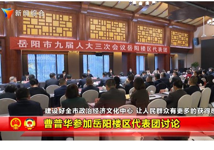 曹普华参加岳阳楼区代表团讨论????