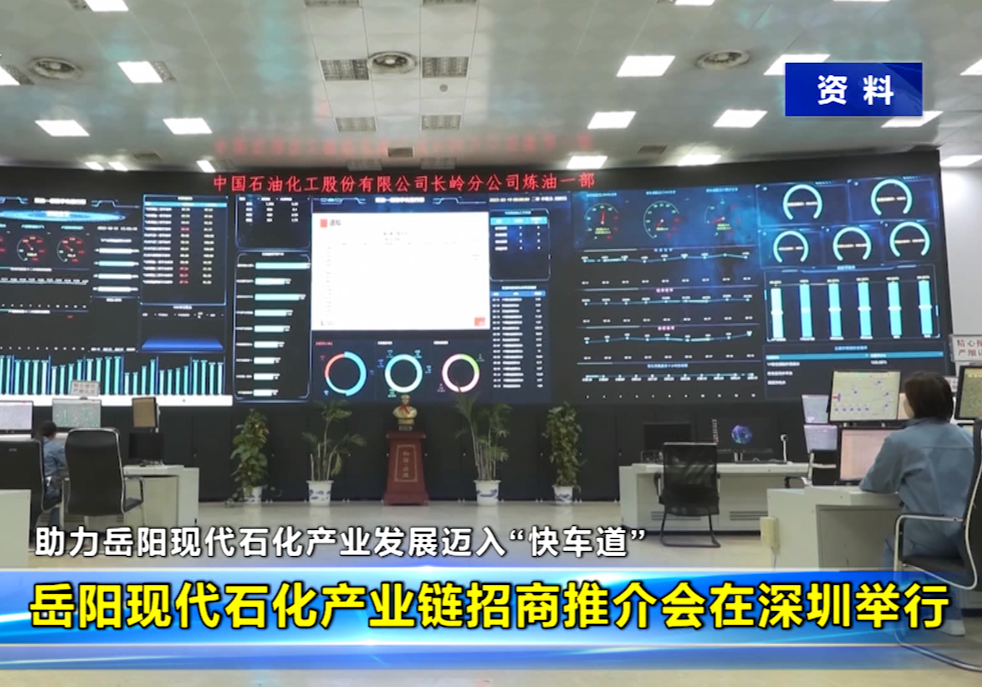 岳陽現代石化產業鏈招商推介會在深圳舉行