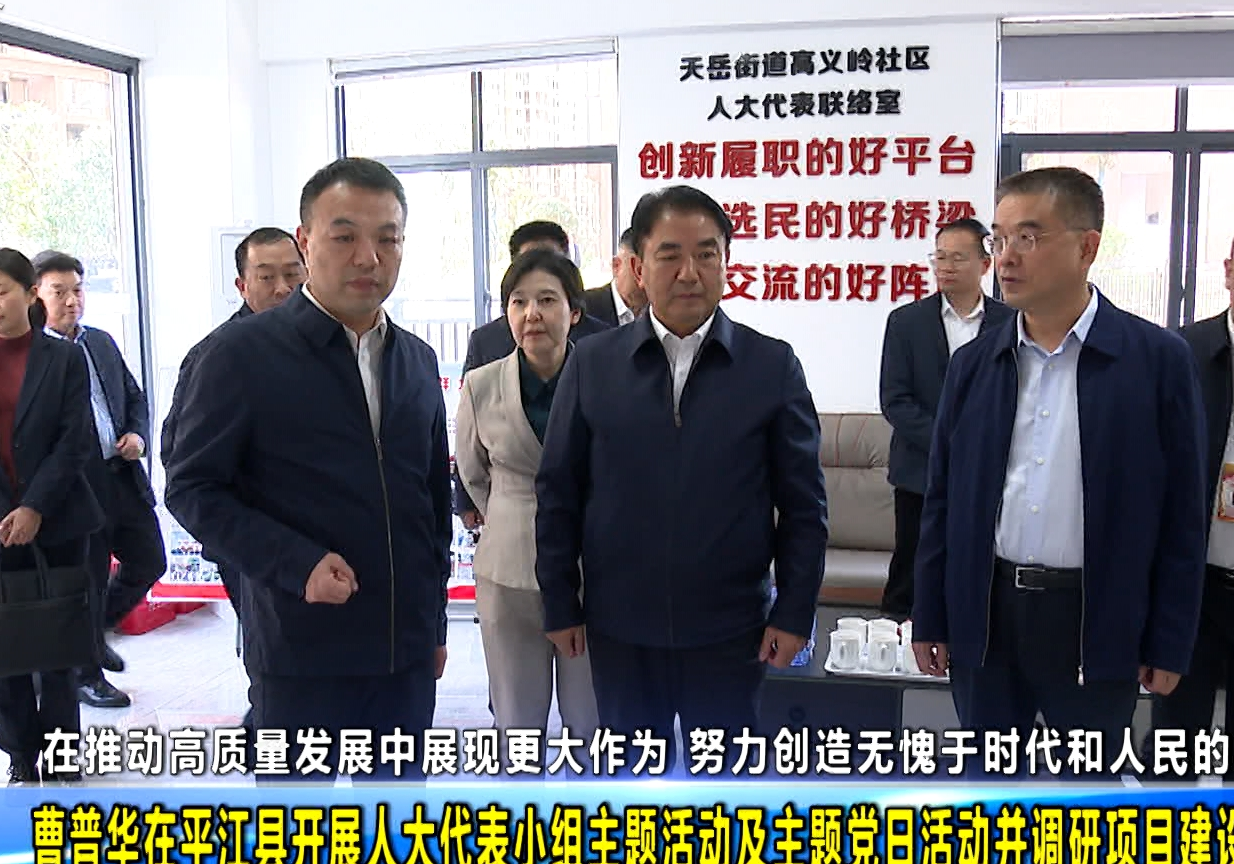 曹普华在平江县开展人大代表小组主题活动及主题党日活动并调研项目建设等重点工作 