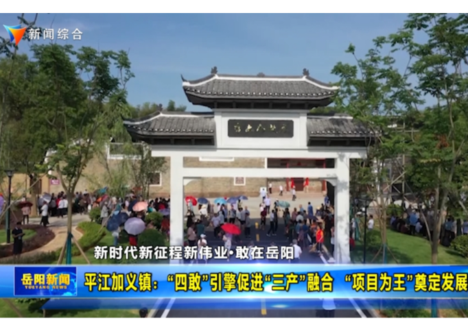 【敢在岳阳】平江加义镇：“四敢”引擎促进“三产”融合 “项目为王”奠定发展格局