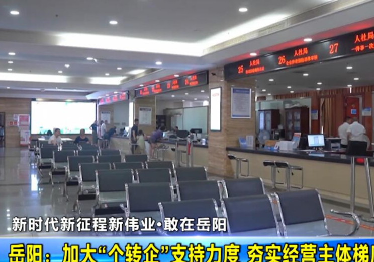 【敢在岳阳】岳阳：加大“个转企”支持力度 夯实经营主体梯度培育基础