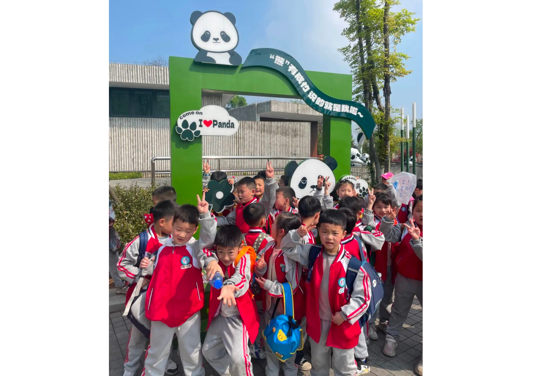 爱在春天，乐享自然 | 3600余名学生走进岳阳中华大熊猫苑，开启春季研学之旅！
