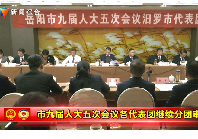 市九届人大五次会议各代表团继续分团审议