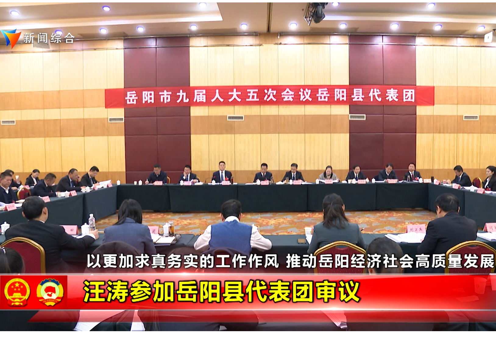 汪涛参加岳阳县代表团审议