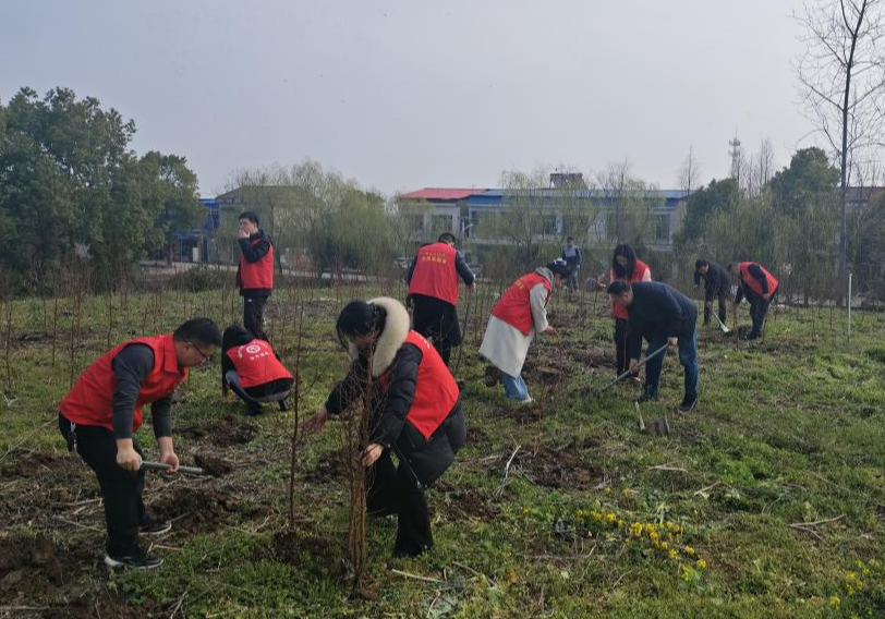 治河渡镇：党建赋能传承雷锋精神 植树护绿构建生态家园